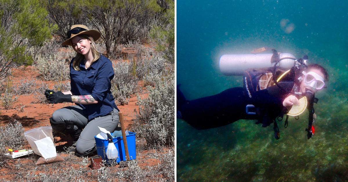 2025 Max Day awardees to investigate ecosystem productivity and microplastics